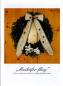 Preview: Spruchband´l von Stilla Heptner