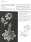 Preview: Honiton Lace Patterns by Elsie Luxton