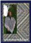 Preview: Dreiecktuch Sarah by Christine Mirecki