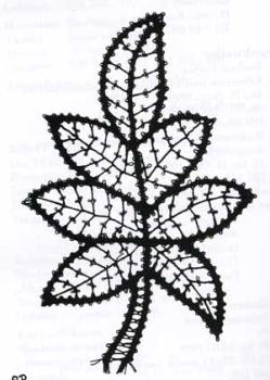 Die Spitze 2/1999