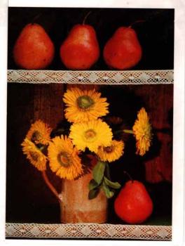 Klappkarte von The Language of Flowers mit Umschlag