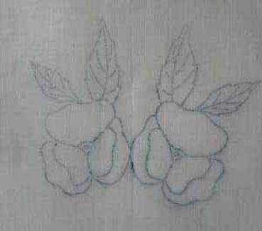 Two roses