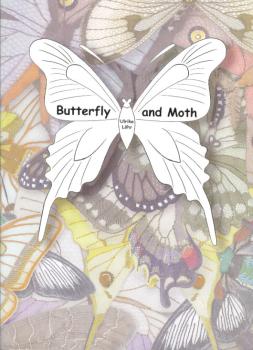 Butterfly and Moth by Ulrike Löhr