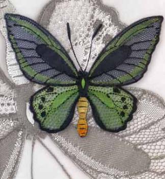 Preview: Butterfly and Moth by Ulrike Löhr