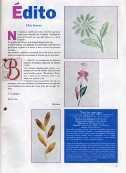 Ouvrages Broderie Special 100 points de broderie