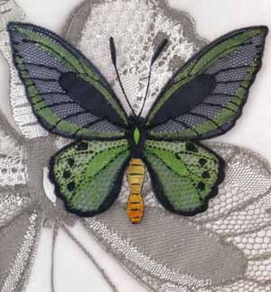 Butterfly and Moth by Ulrike Löhr