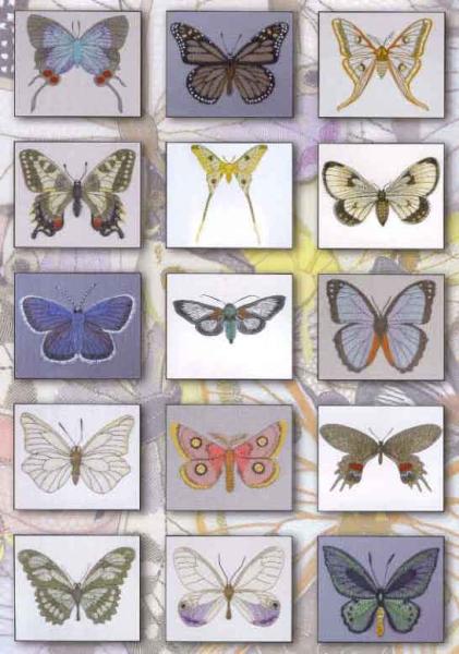 Butterfly and Moth by Ulrike Löhr