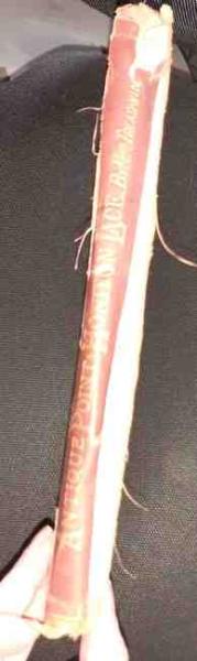 Amtique Point . Honiton Lace von Mrs. Treadwin ( Antik )