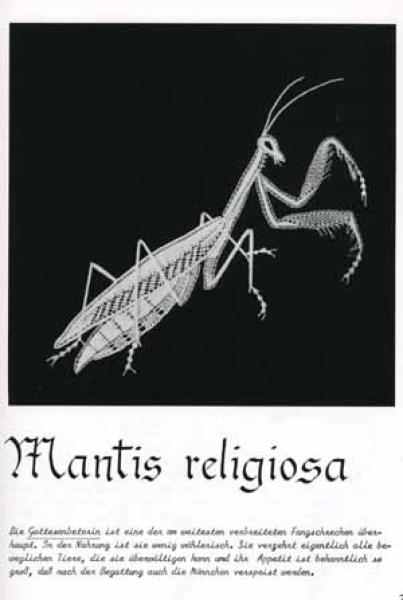 Maikäfer, flieg! by Ulrike Löhr (Voelcker)