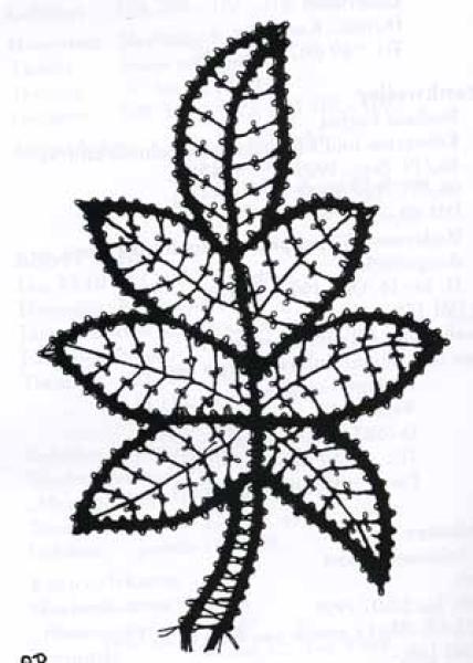 Die Spitze 2/1999