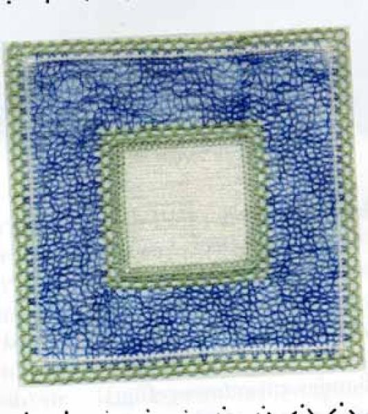 Die Spitze 3/2001