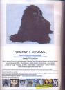 Cocker Spaniel von Serenity Designs