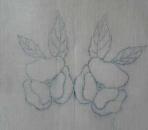 Two roses